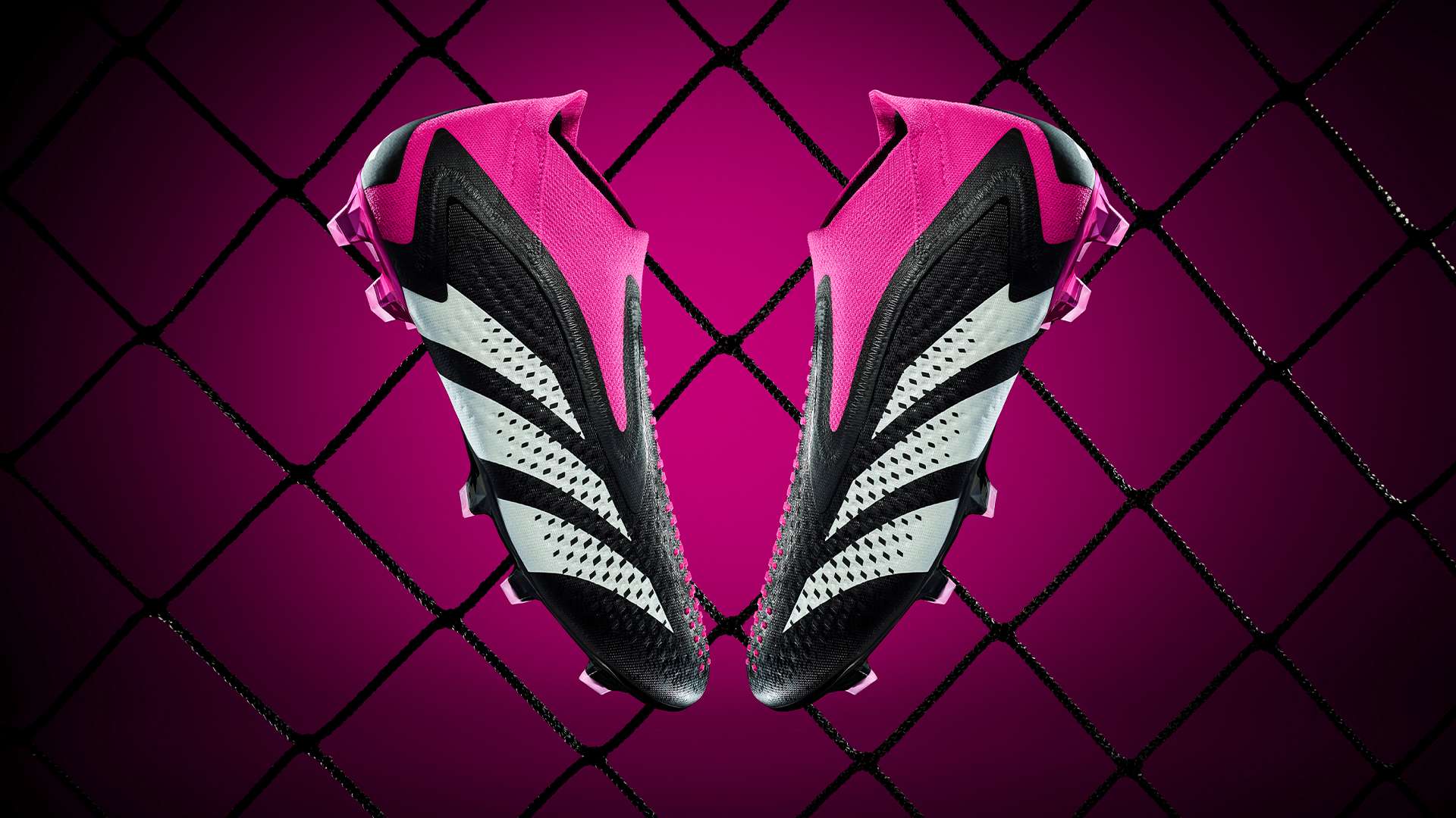 公众认知的 公众认知的